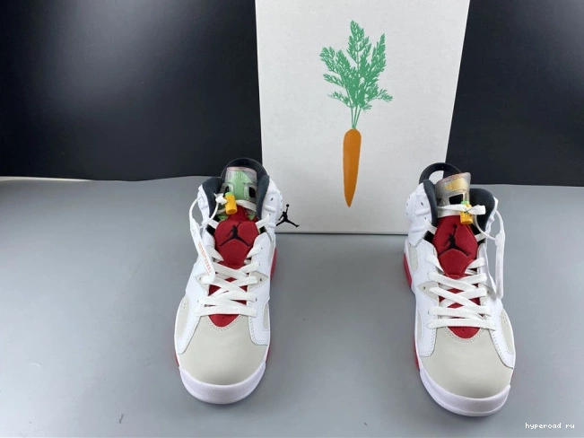 Hare CT8529-062 Jordan 6 Air 0723